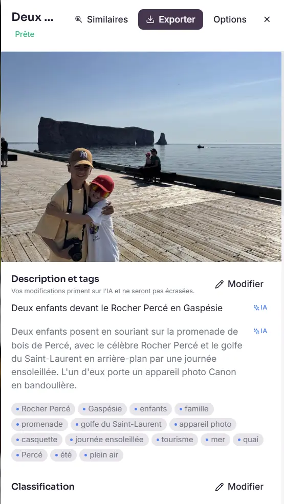 Fiche Mosaïque montrant un titre, une description en français et des mots-clés générés par l’intelligence artificielle